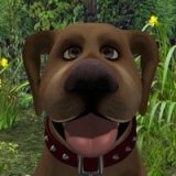 polyfido's Avatar