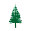 Norfolk Island